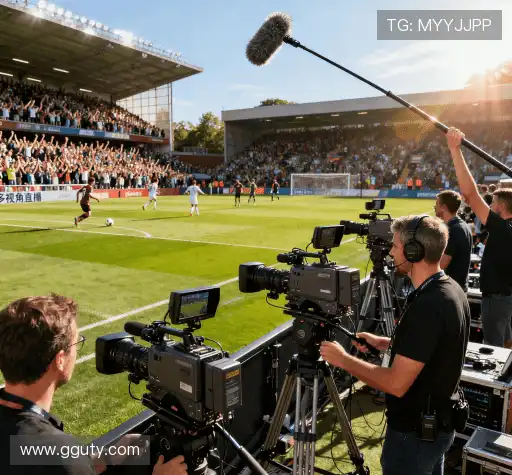 我们的风险管理